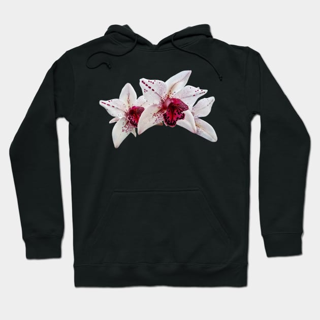 Orchid - Cymbidium Baltic Dew Freckle Face Hoodie by SusanSavad